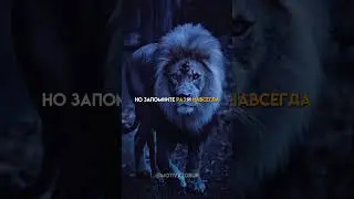 #сила