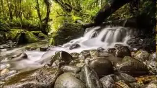 Fundo de Oração - Silence Speak
