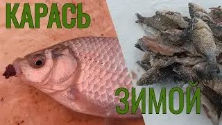 Ловля карася зимой!!!