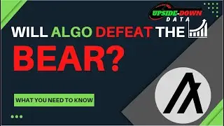 Algorand ($ALGO): Will it Thrive or Dive After This Bear Market?
