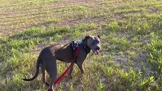Go run Seven.. lol
