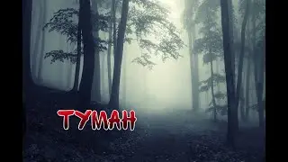 Страшная История На Ночь 