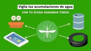 Como afecta la lluvia a los mosquitos