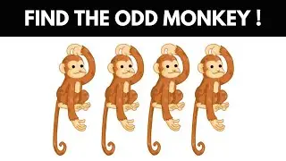 Awesome Visual Riddles and Puzzles To Boost Your Brain | Eye Brainteasers