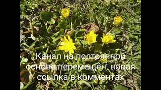 Важная новость