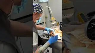 Лакушка сходил на удаление и чистку Зубов, смотрите полное видео 👆🏼 