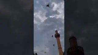 Nar çiçeğim