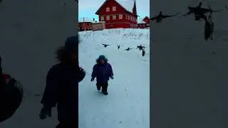 утки улетели VID 20220107 135241