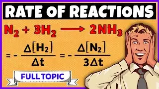 Rate of Reactions | How to calculate rate of a reaction | Chemical Kinetics