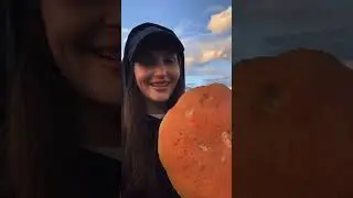 КАК ВЫГЛЯДЯТ ГРИБЫ В ТУНДРЕ🤯🍄