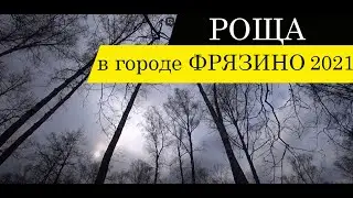 Роща в городе Фрязино 2021