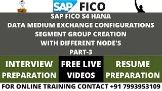 SAP FICO S4 HANA, DATA MEDIUM EXCHANGE CONFIGURATIONS, CREATE SEGMENT GROUP AND NODE'S