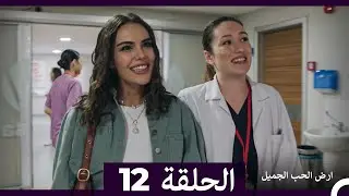 ارض الحب الجميل الحلقة ال 12 (Arabic Dubbed)