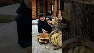ДОБЫВАЕМ МЁД БЕЗ ЗНАНИЙ И ВЛОЖЕНИЙ ‼️ 