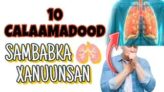 10 Calaamadood oo muujinaya in sambabkaadu wajahayo halis hor le