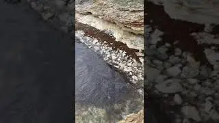 Мыс Тарханкут. 2021