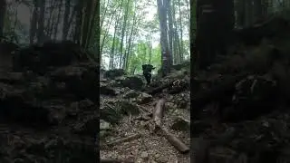 Маршрут 30ка) поход через лес 🌳