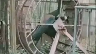 "Рекрутинг"