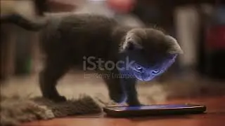 istockphoto 904558980 640 adpp is 1