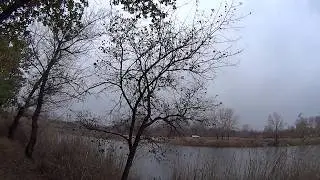 Тест видео камеры Sony