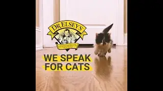 Dr. Elsey's Story