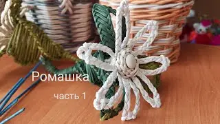 Ромашка. Видео-нарезка из эфира с  субтитрами. Chamomile. Video cut from the air with subtitles.