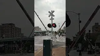 ASC Electronic Crossing Bell