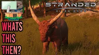 Bugs and More Stranded Alien Dawn