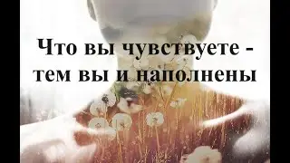 Что вы чувствуете - тем вы и наполнены