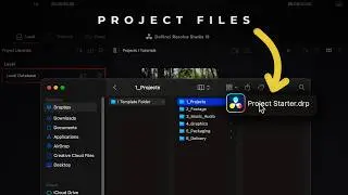 How to Organize Files in DaVinci Resolve (Beginner-Friendly System)