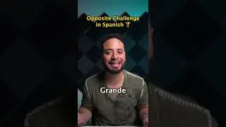Opposite Challenge in Spanish | Learn Spanish