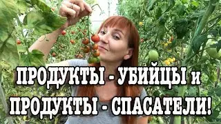 2 июня Здоровая еда без труда Праздничный календарь Рита Некрасова