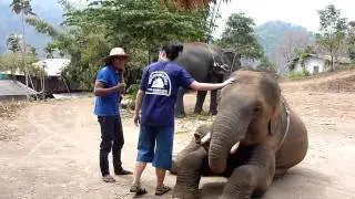 Me riding an elephant!