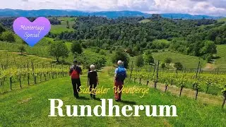 Rundherum Sulztaler Weinberge | Naturgarten Hofcafe "Die Amtmann" | Südsteiermark