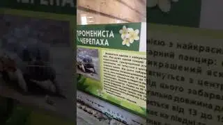 я в еквапарке ковалівка вот такі красиві великі черепахи.