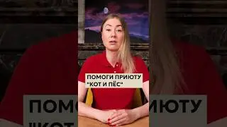 Приюту для бездомных животных 