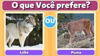 Qual Animal Você Prefere?