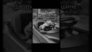 трек: MAXPVNK- GSM, релиз 30 августа #phonk #мем