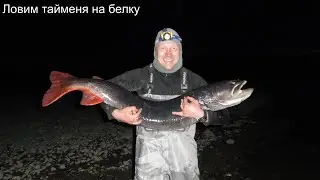 Russian Far East, Khabarovsk Krai. Fishing 2020 for taimen and lenok. Rivers Nemilen, Nilan, Amgun