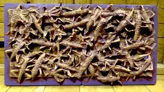 How to Make a GORY INSECT SOUP Panel - Step-By-Step - with Leon Hills - LEON CREATOR