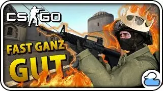 FAST GANZ GUT - CS:GO - Overwatch #128