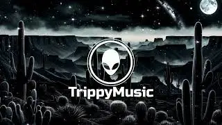 Shabiki - Dark Lights (Original Mix)