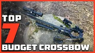 Budget Crossbows Review: Affordable Quality Picks