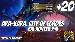 +20 Ara-Kara BM Hunter PoV