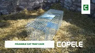 Cage Trap for Cats Foldable | COPELE