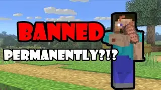 New Steve Tech Poised to Get Steve Universally BANNED - Smash Ultimate