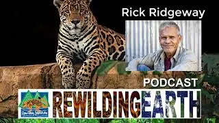 Rewilding Earth Podcast Episode 3: Rick Ridgeway, Patagonia