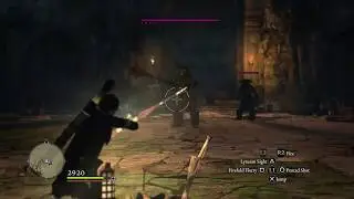 Dragon's Dogma: Dark Arisen - Old Men Musk Arena