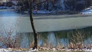 софия
