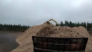 Murskan kasausta  ja höpötystä